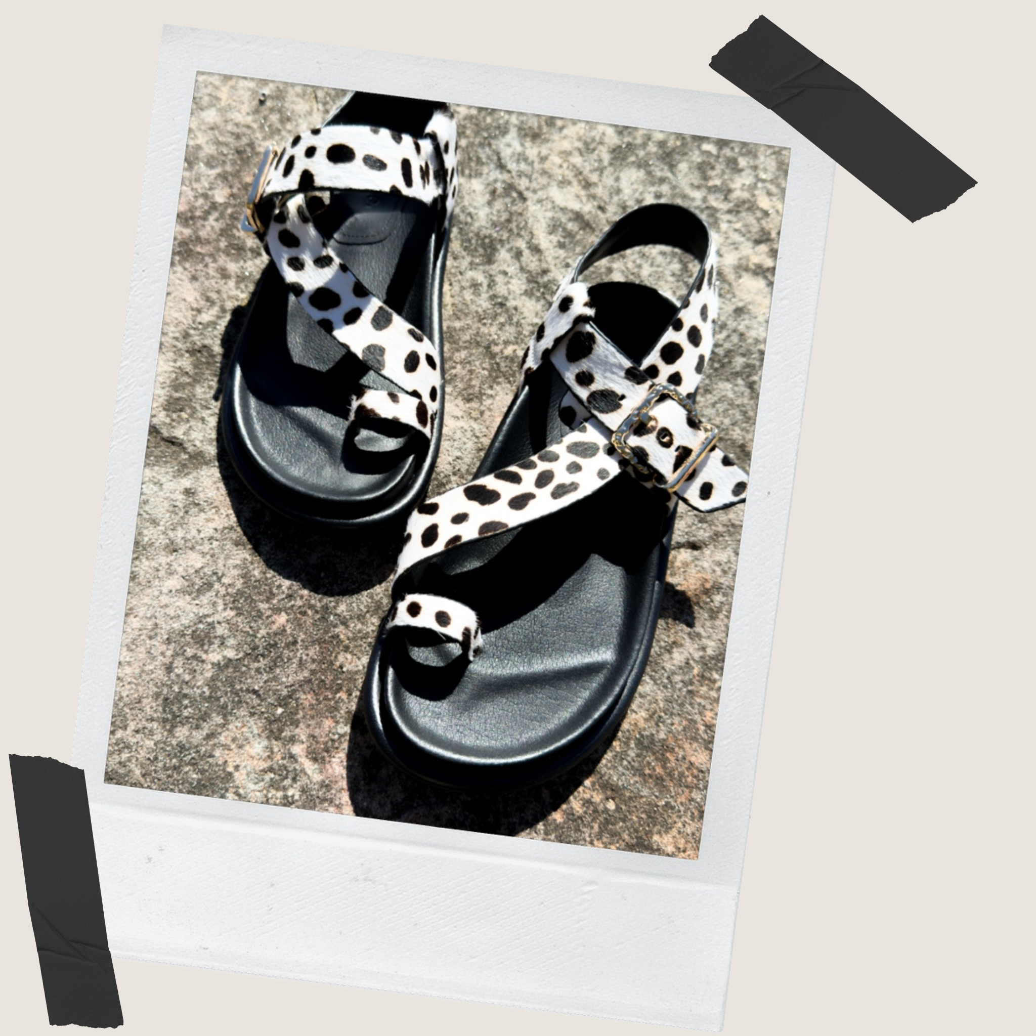 Astro Footbed Sandal - Dalmo Pony