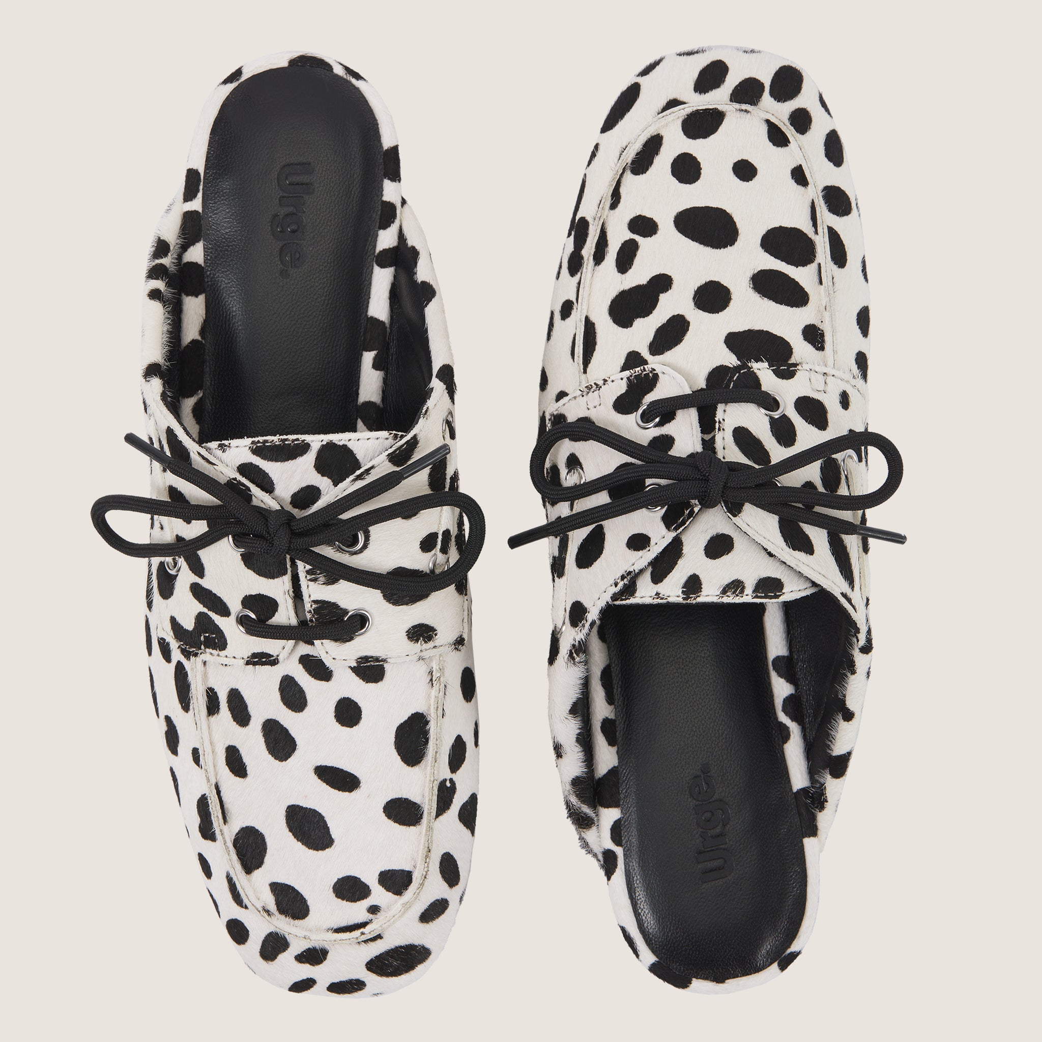 Seaside Mule - Dalmo Pony